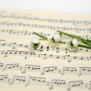 Cours adulte - Beaumontois