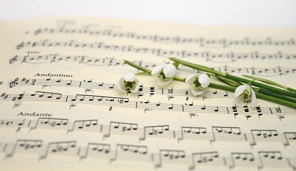 Cours adulte - Beaumontois